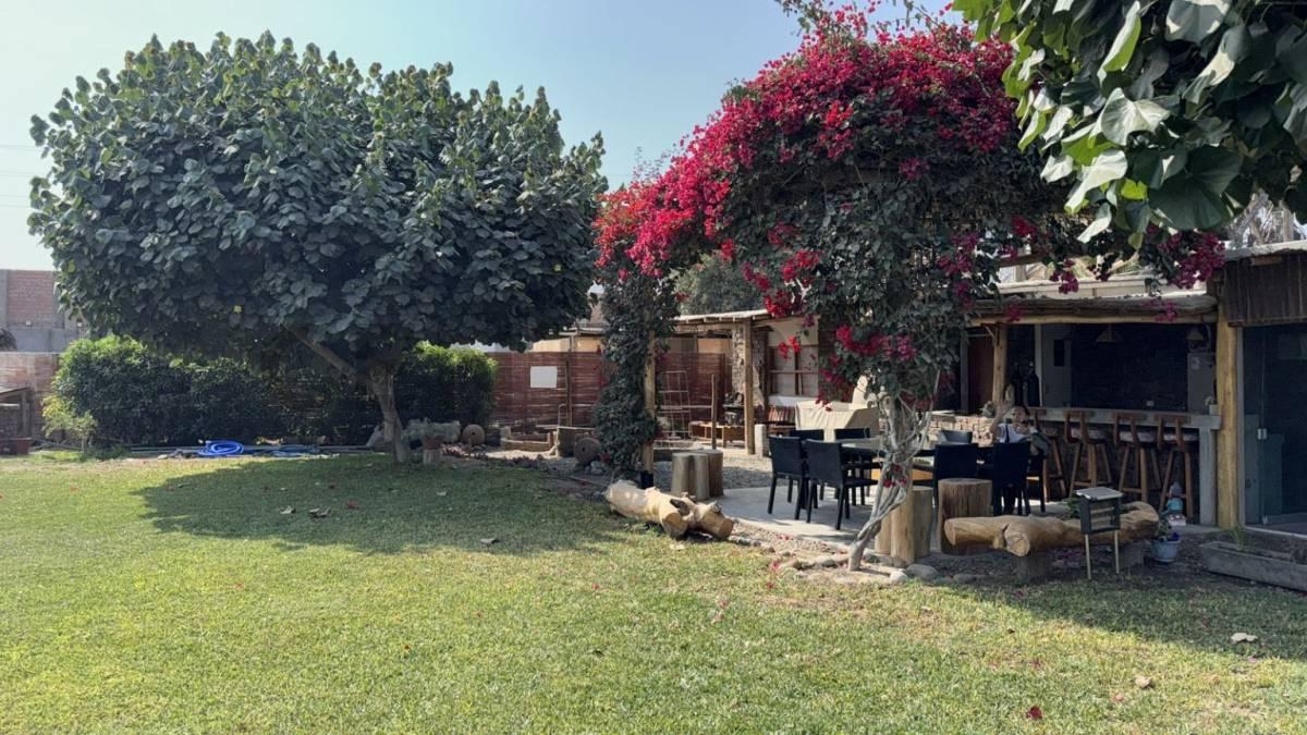 Av. Las Palmeras Zona Casas Huertas Papa Leon XIII , Cañete, Lima 00001, Peru