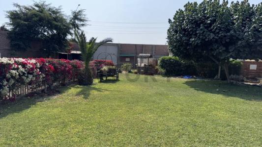 Av. Las Palmeras Zona Casas Huertas Papa Leon XIII , Cañete, Lima 00001, Peru