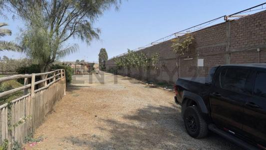 Av. Las Palmeras Zona Casas Huertas Papa Leon XIII , Cañete, Lima 00001, Peru