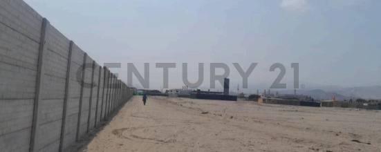 Parcela 1- Fundo San Javier alto Zona B , Cañete, Lima 00001, Peru