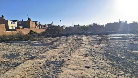 Urb. Los pachechos , Ica, Ica 00001, Peru