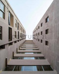 ZENITH FELIX BOGADO , Gral. Diaz, Asunción 00001, Paraguay