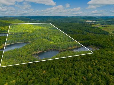 Ch. Holmes, Cantley, Quebec J8V 3H4, Canada