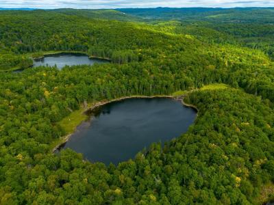 Ch. Holmes, Cantley, كيبيك J8V 3H4, كندا 