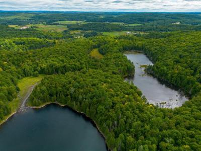 Ch. Holmes, Cantley, كيبيك J8V 3H4, كندا 