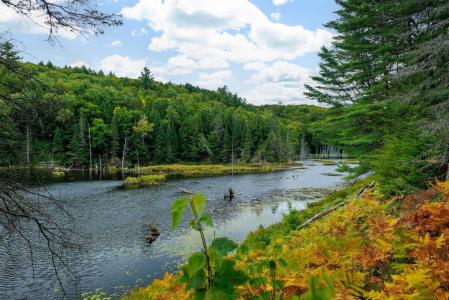 Ch. Holmes, Cantley, كيبيك J8V 3H4, كندا 