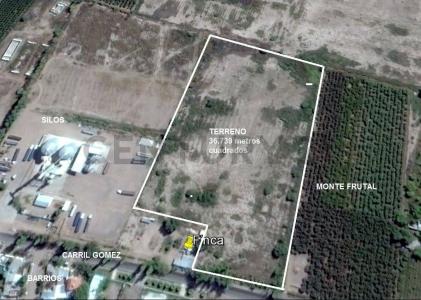 Carril Adriano Gómez , Maipú, Mendoza 5515, Argentina