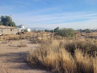 Carril Adriano Gómez , Maipú, Mendoza 5515, Argentina