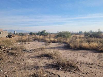 Carril Adriano Gómez , Maipú, Mendoza 5515, Argentina