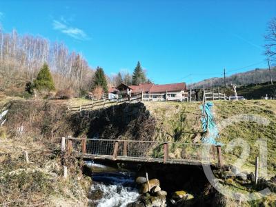 Saulxures Sur Moselotte, 洛琳 88290, 法国