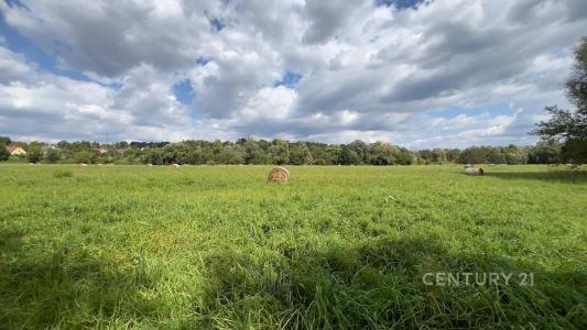Ostrava, Ostrava-město 100 00, الجمهورية التشيكية