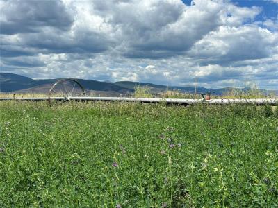 nhn Garcon Gulch Road, Hot Springs, Montana 59845