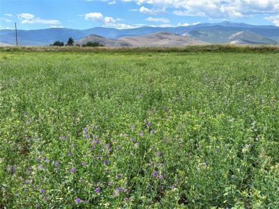 nhn Garcon Gulch Road, Hot Springs, Montana 59845