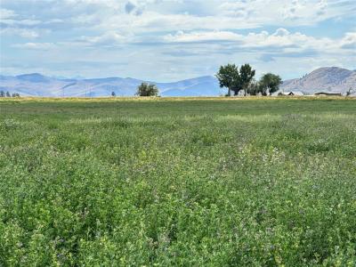 nhn Garcon Gulch Road, Hot Springs, Montana 59845