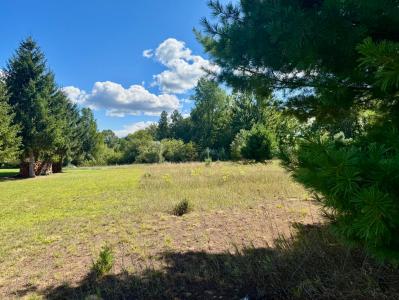 6685 Cedar Trace, Canadian Lakes, Michigan 49346, USA