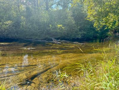 6685 Cedar Trace, Canadian Lakes, 密西根州 49346, 美國