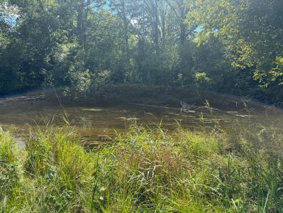 6685 Cedar Trace, Canadian Lakes, 密西根州 49346, 美國