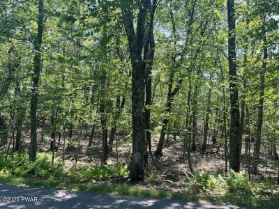Lot 2611 Iroquois Trail, Milford, Pennsylvanie 18337, États-Unis