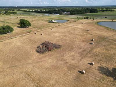 Lot 1 CR 4112, Campbell, Texas 75422, Estados Unidos