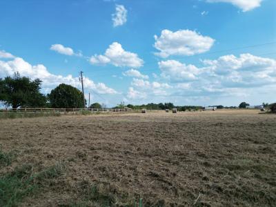Lot 2 CR 4112, Campbell, Texas 75422, Estados Unidos
