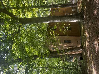 96 Big Beech Lane, Monticello, Kentucky 42633, USA