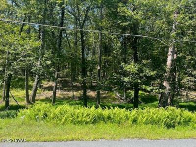 Lot 2603  Beaver Run, Milford, Pennsylvanie 18337, États-Unis