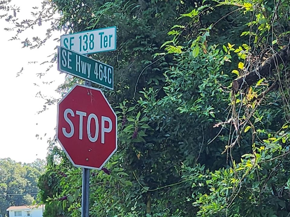 11921 SE 138 Terrace, Ocklawaha, Flórida 32179, Estados Unidos