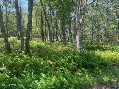 Lot 3810  Floyd Ct, Milford, Pennsylvania 18337, USA