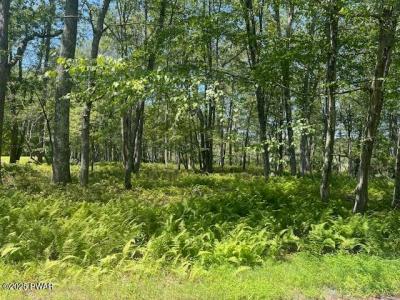 Lot 3810 Floyd Ct, Milford, Pennsylvanie 18337, États-Unis