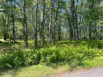 Lot 3810 Floyd Ct, Milford, Pennsylvanie 18337, États-Unis