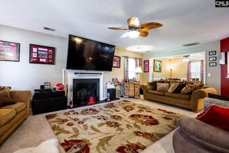 256 Crimson Oak Drive, Lexington, South Carolina 29072