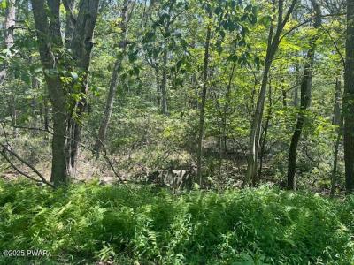 Lot 5207  Seneca Drive, Milford, Pennsylvanie 18337, États-Unis