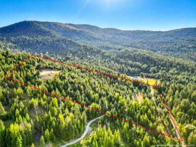 NNA Orion 20 Acres Dr, Cocolalla, ايداهو 83813, الولايات المتحدة