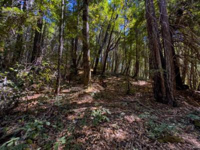3700 Redwood Creek Road, Willits, California 95490