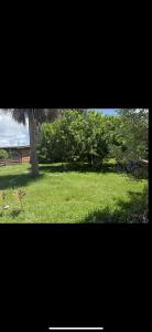 810 PERSON STREET, KISSIMMEE, Florida 34741, Estados Unidos