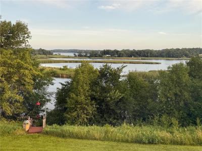 12467 County Road 58 NW, Brandon, מינסוטה 56315, ארצות הברית של אמריקה 