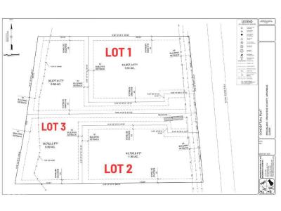 1 Hwy. 49 (1.00 Acres), Brookland, Arkansas 72417, États-Unis