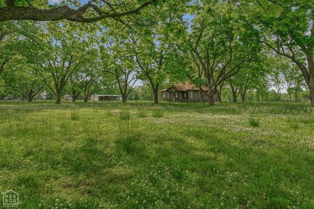 3337 E County Road 70, Blytheville, Arkansas 72315