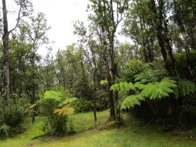 Lot 21, Kokokahi Rd, Volcano, Hawaii 96785, HOA KỲ