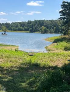 115 Greene 7246, Paragould, 알칸사 72450, 미국