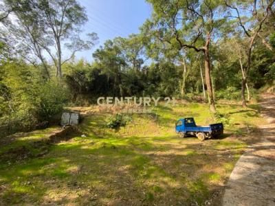 曲洞段, Touwu Township, Miaoli County 362, Taiwan