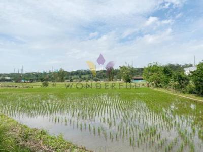 東隆段, 大溪區, Taoyuan 335, Taiwan