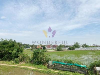 東隆段, 大溪區, Taoyuan 335, Taiwan