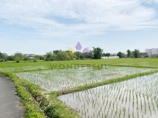 東隆段, 大溪區, تاويوان مدينة 335, تايوان
