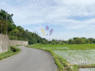 東隆段, 大溪區, تاويوان مدينة 335, تايوان