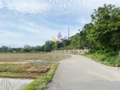 東隆段, 大溪區, تاويوان مدينة 335, تايوان