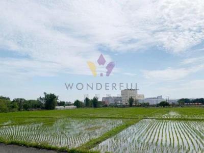 東隆段, 大溪區, تاويوان مدينة 335, تايوان