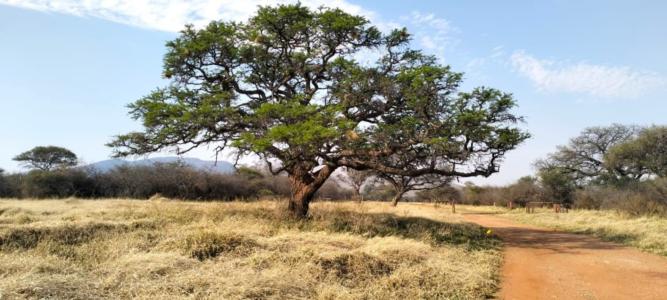 Mokopane, Limpopo, 남아프리카