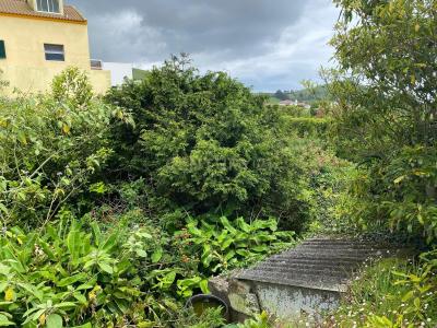 Lagoa, São Miguel 9560-301, Portekiz