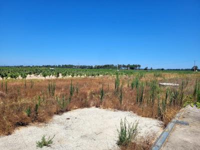 Almeirim, Santarem 2080-231, Portugal